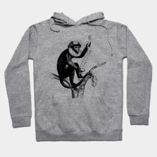 Primate Nature Drawing Hoodie